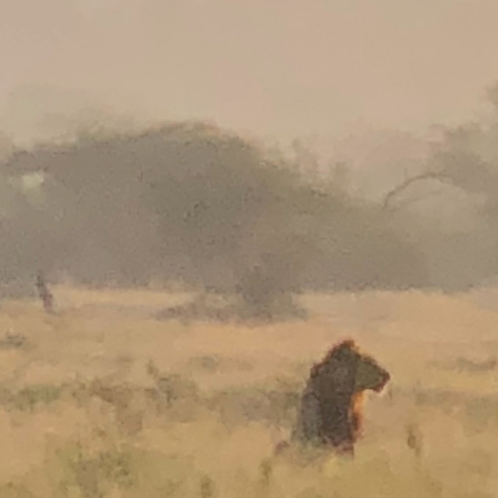 Meet your Posher, Sandra